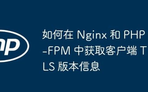 如何在 Nginx 和 PHP-FPM 中获取客户端 TLS 版本信息