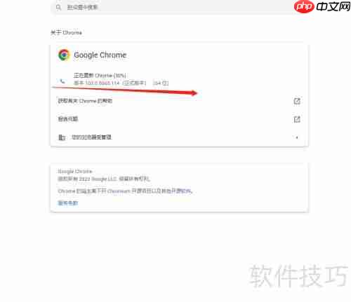 谷歌浏览器无法更新怎么办