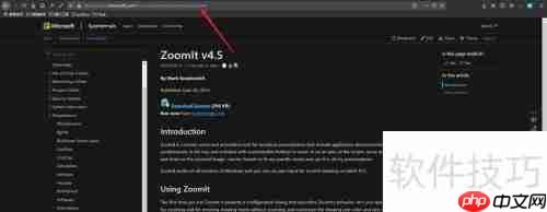 ZommIt下载使用指南