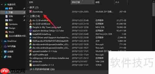 ZommIt下载使用指南