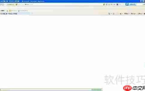 IE浏览器上网指南
