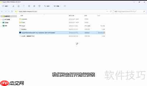 Topaz视频增强AI安装指南