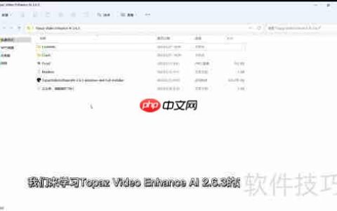 Topaz视频增强AI安装指南