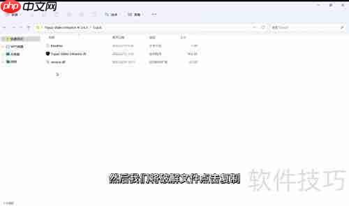 Topaz视频增强AI安装指南