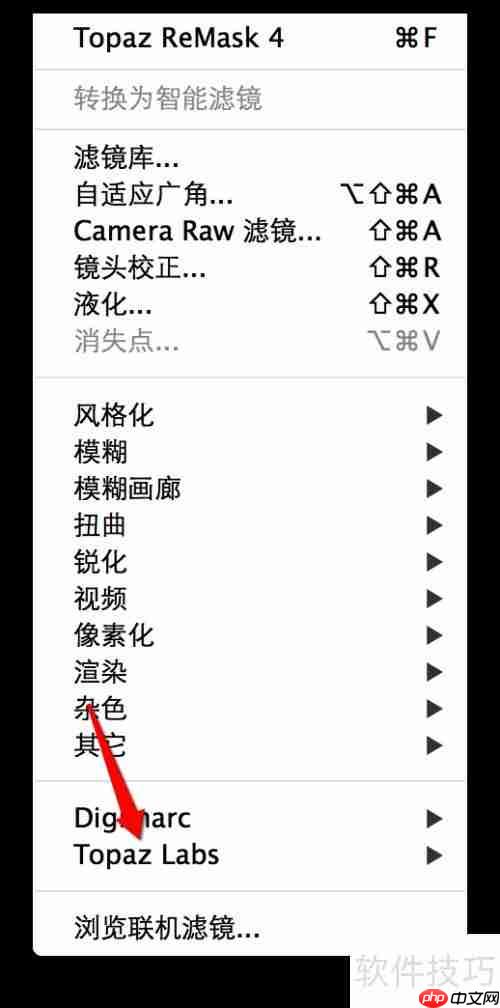 Topaz ReMask抠图使用指南