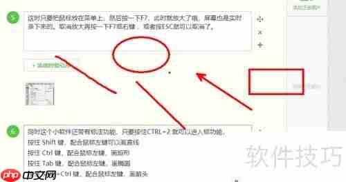 录屏时局部放大技巧