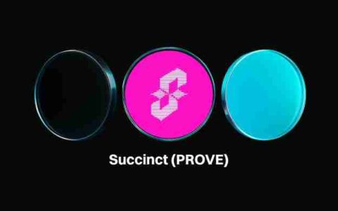 Succinct(PROVE币)是什么?如何运作?PROVE代币经济与价格预测