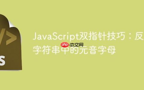 JavaScript双指针技巧：反转字符串中的元音字母