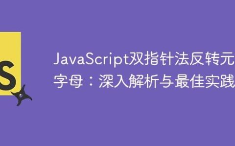 JavaScript双指针法反转元音字母：深入解析与最佳实践