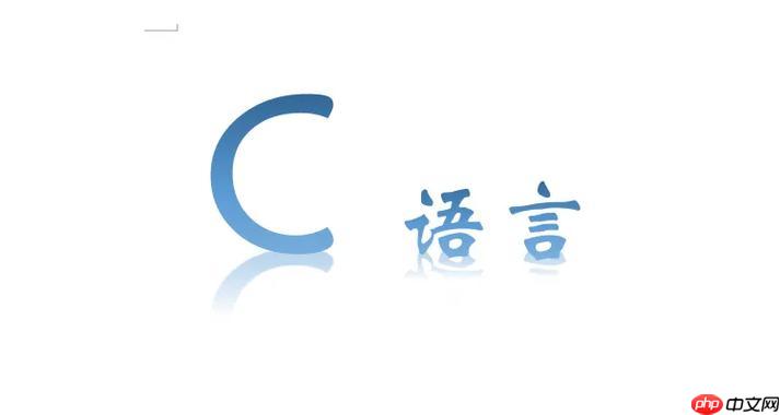 Clang编译器12项隐藏优化选项揭秘