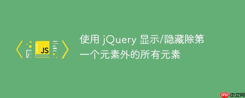 使用 jQuery 显示/隐藏除第一个元素外的所有元素