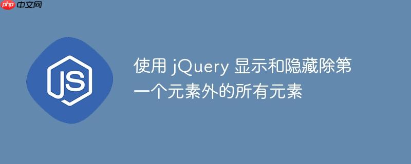 使用 jQuery 显示和隐藏除第一个元素外的所有元素