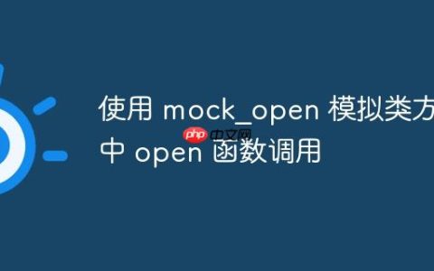 使用 mock_open 模拟类方法中 open 函数调用