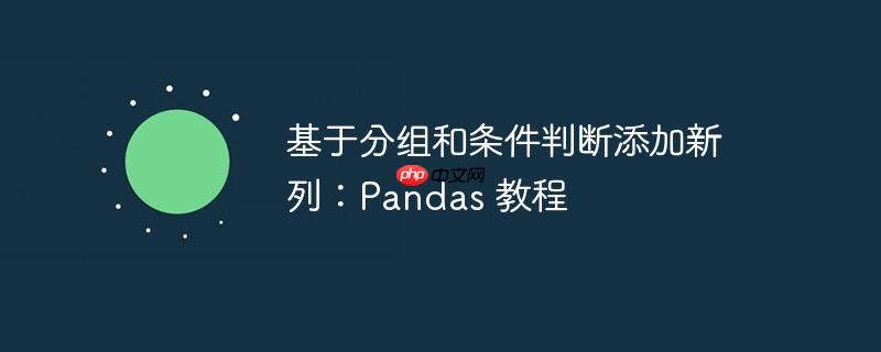基于分组和条件判断添加新列:pandas 教程
