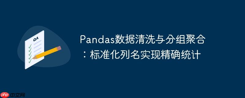 pandas数据清洗与分组聚合:标准化列名实现精确统计