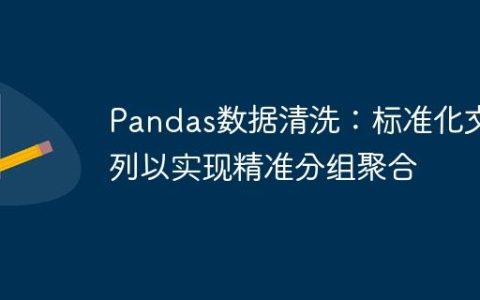 Pandas数据清洗：标准化文本列以实现精准分组聚合