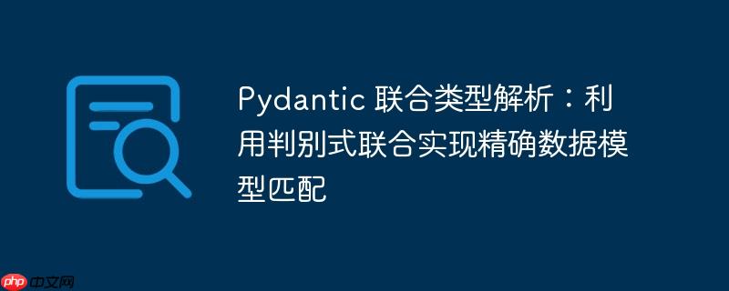 Pydantic 联合类型解析:利用判别式联合实现精确数据模型匹配