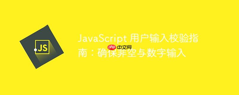 JavaScript 用户输入校验指南:确保非空与数字输入