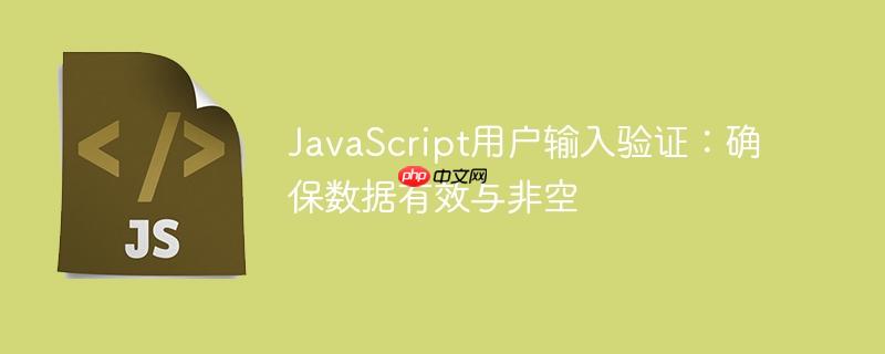 JavaScript用户输入验证:确保数据有效与非空