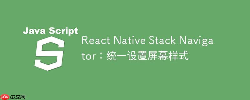 react native stack navigator:统一设置屏幕样式