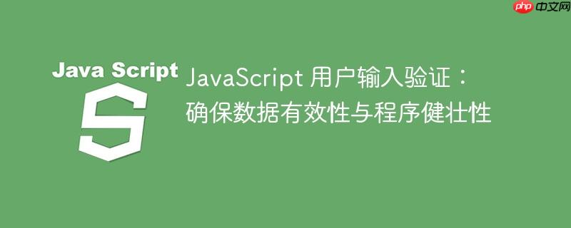 JavaScript 用户输入验证:确保数据有效性与程序健壮性