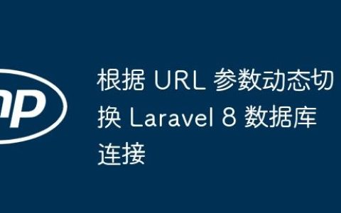 根据 URL 参数动态切换 Laravel 8 数据库连接