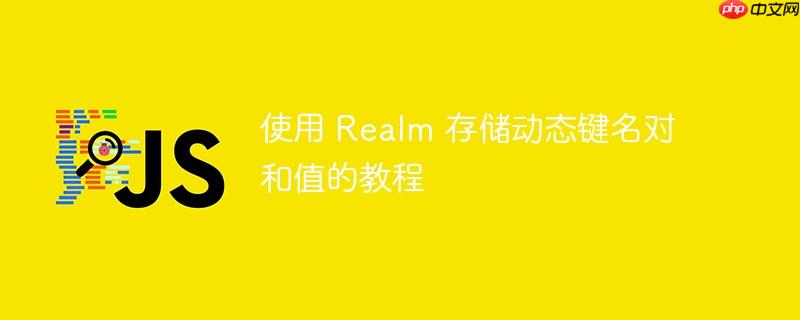 使用 realm 存储动态键名对和值的教程