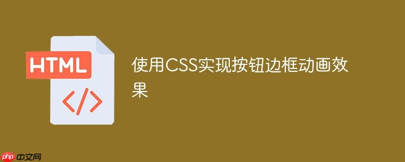 使用css实现按钮边框动画效果