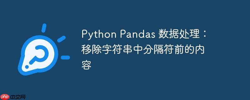 python pandas 数据处理:移除字符串中分隔符前的内容