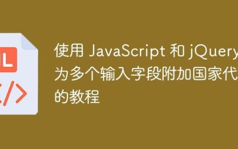 使用 JavaScript 和 jQuery 为多个输入字段附加国家代码的教程