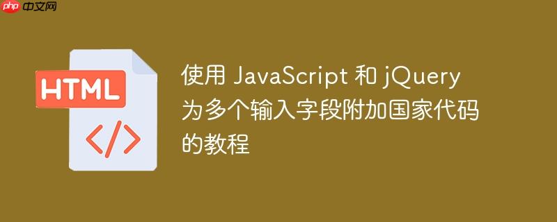 使用 JavaScript 和 jQuery 为多个输入字段附加国家代码的教程