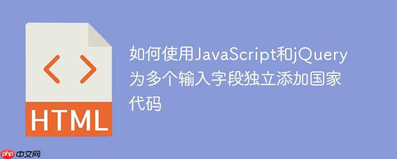 如何使用JavaScript和jQuery为多个输入字段独立添加国家代码