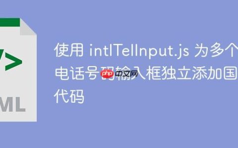 使用 intlTelInput.js 为多个电话号码输入框独立添加国家代码