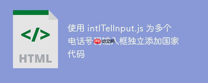 使用 intlTelInput.js 为多个电话号码输入框独立添加国家代码