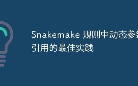 Snakemake 规则中动态参数引用的最佳实践