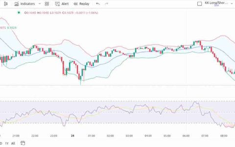 什么是RSI？什么是布林带？结合RSI和布林带的操作指南