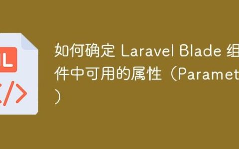 如何确定 Laravel Blade 组件中可用的属性（Parameters）