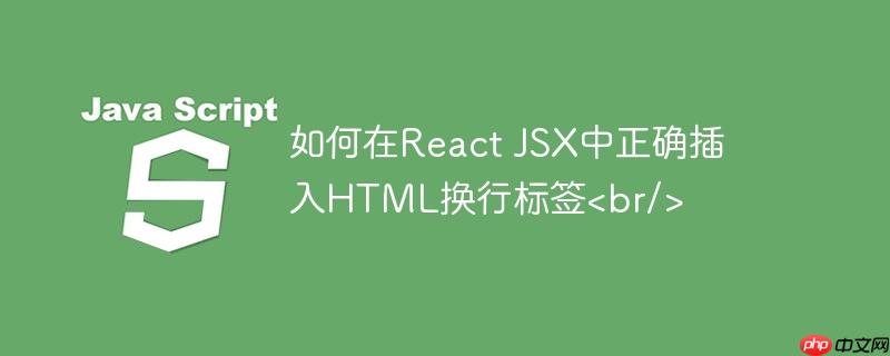 如何在React JSX中正确插入HTML换行标签