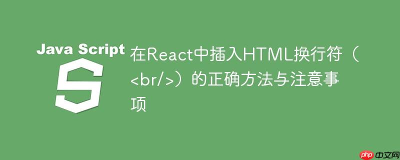在React中插入HTML换行符（）的正确方法与注意事项