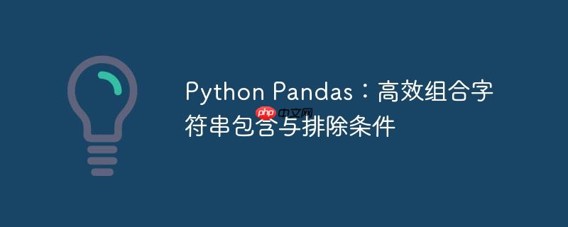 python pandas:高效组合字符串包含与排除条件