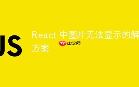 React 中图片无法显示的解决方案