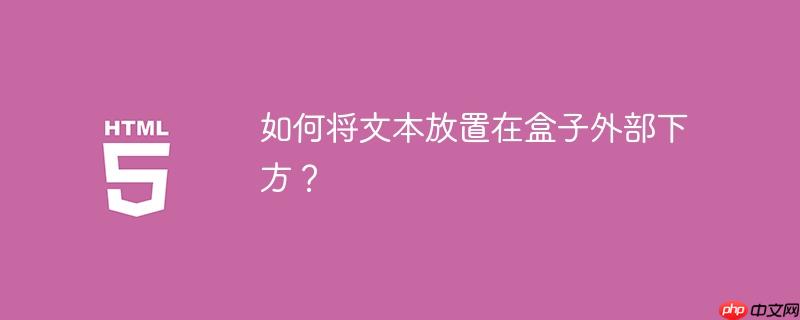 如何将文本放置在盒子外部下方？