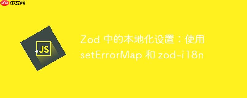 zod 中的本地化设置:使用 seterrormap 和 zod-i18n