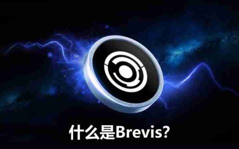 什么是Brevis？Brevis的愿景、优势、应用场景及生态合作伙伴介绍