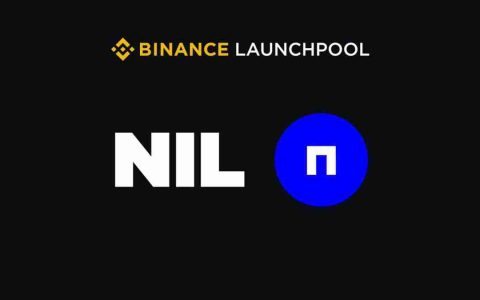 什么是Nillion (NIL币)？NIL价格预测2025-2030年