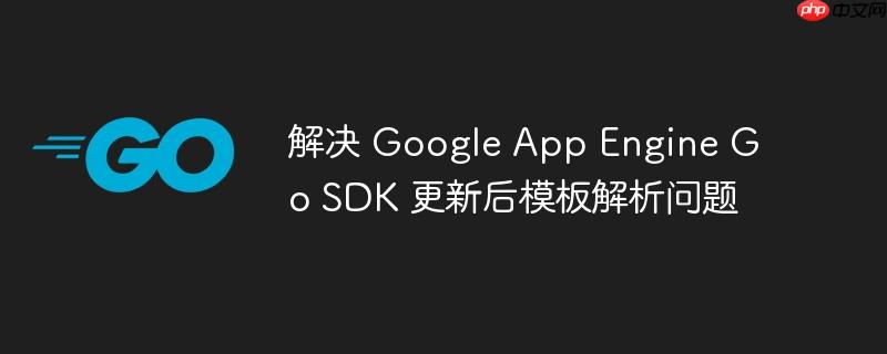 解决 Google App Engine Go SDK 更新后模板解析问题