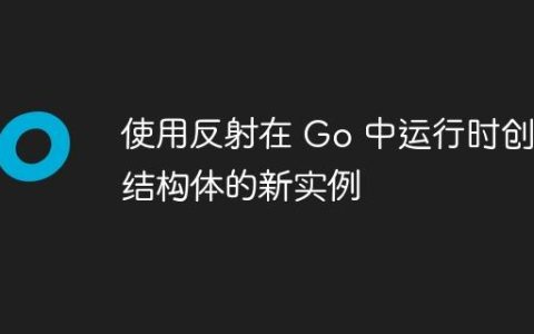 使用反射在 Go 中运行时创建结构体的新实例