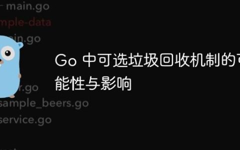 Go 中可选垃圾回收机制的可能性与影响