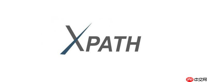 XPath的sum()函数怎么计算数值总和?