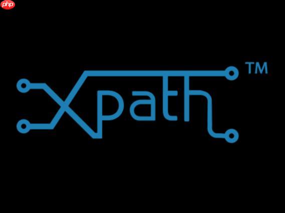 xpath的local-name()函数有什么用？